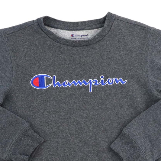 Champion Sweatshirt (M)